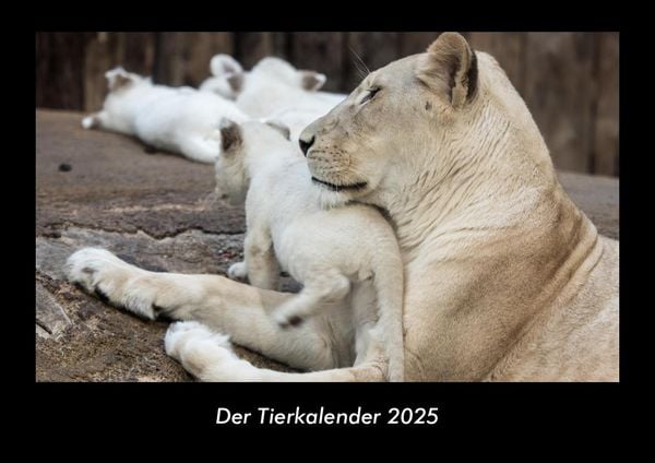 Produktbild: Der Tierkalender 2025 Fotokalender DIN A3
