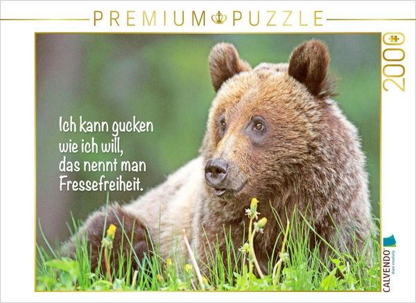 CALVENDO Puzzle Freche Sprüche zum täglichen Wahnsinn im Job | 2000 Teile Lege-Größe 90x67cm Foto-Puzzle für glückliche Stunden