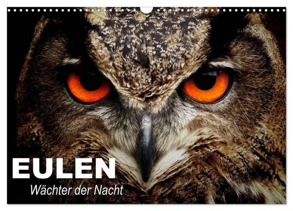 Produktbild: Eulen. W&auml;chter der Nacht (Wandkalender 2026 DIN A3 quer), CALVENDO Monatskalender
