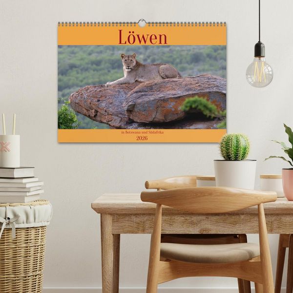 Produktbild: L&ouml;wen in Botswana und S&uuml;dafrika (Wandkalender 2026 DIN A3 quer), CALVENDO Monatskalender