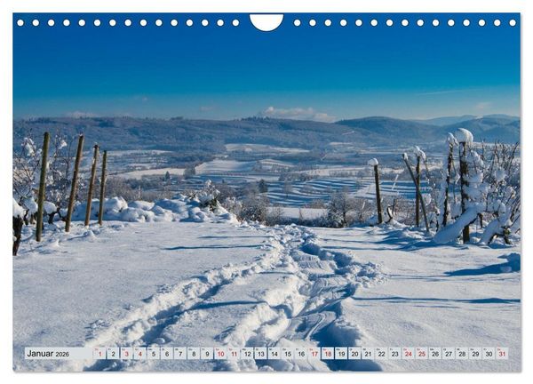 Produktbild: Weinregion Kaiserstuhl (Wandkalender 2026 DIN A4 quer), CALVENDO Monatskalender