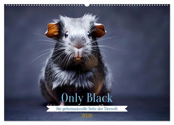 Produktbild: Only Black (Wandkalender 2026 DIN A2 quer), CALVENDO Monatskalender