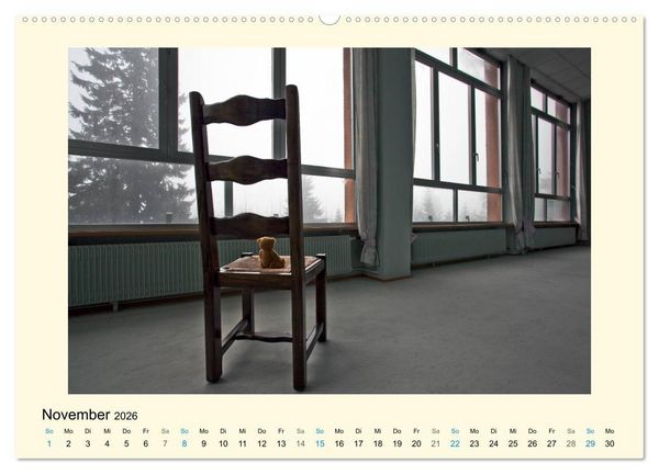 Produktbild: Herr B&auml;r urban explorer (Wandkalender 2026 DIN A2 quer), CALVENDO Monatskalender