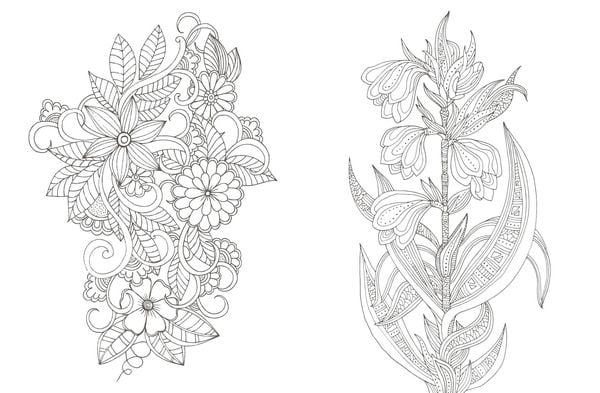 Produktbild: Colorful Mandala &ndash; Botanischer Garten