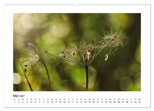 Produktbild: Zauber verg&auml;nglicher Bl&uuml;ten (hochwertiger Premium Wandkalender 2027 DIN A2 quer), Kunstdruck in Hochglanz