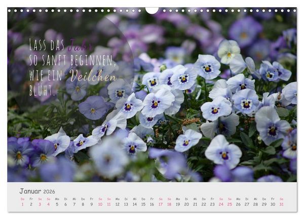 Produktbild: Sanfte Bl&uuml;ten &ndash; leise Worte (Wandkalender 2026 DIN A3 quer), CALVENDO Monatskalender