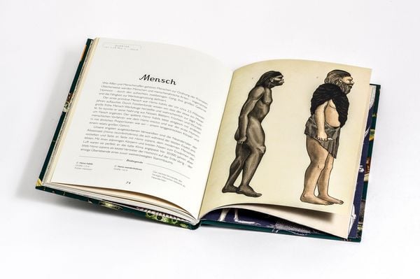Produktbild: Die Entstehung des Lebens. Evolution