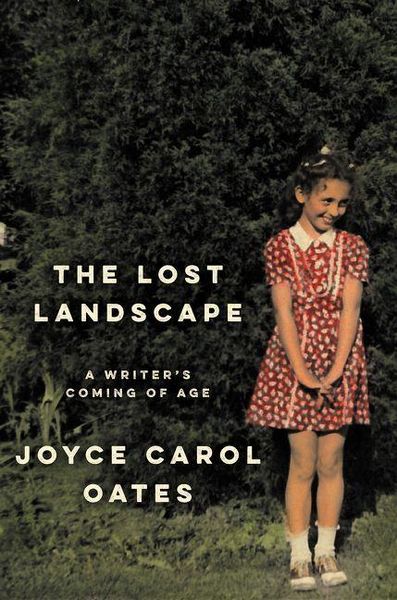 Produktbild: The Lost Landscape
