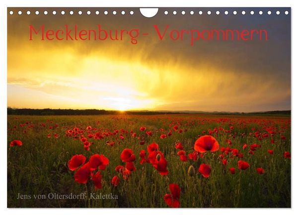 Mecklenburg - Vorpommern (Wandkalender 2024 DIN A4 quer), CALVENDO Monatskalender