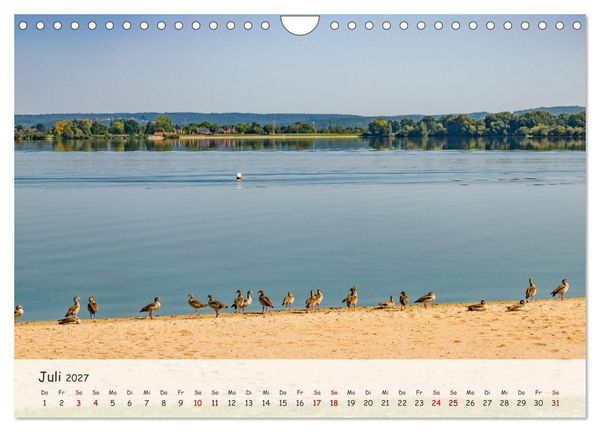 Produktbild: Naturparadies Altm&uuml;hlsee (Wandkalender 2027 DIN A4 quer), CALVENDO Monatskalender