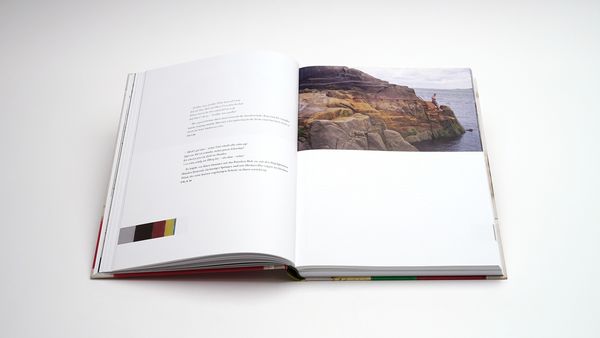 Produktbild: Werner Schmidt &ndash; James Joyce und die Farben des Ulysses