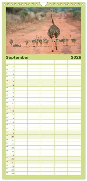 Produktbild: Familienplaner 2026 - Abenteuer Afrika - Im Paradies der Tiere mit 5 Spalten (Wandkalender, 21 x 45 cm) CALVENDO
