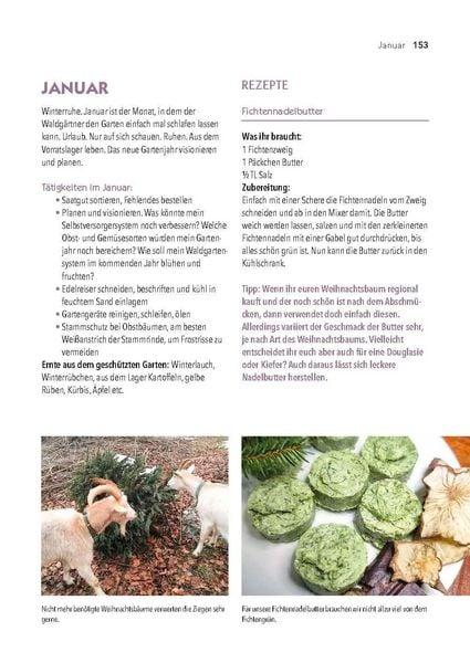 Produktbild: Dein Weg zum essbaren Waldgarten