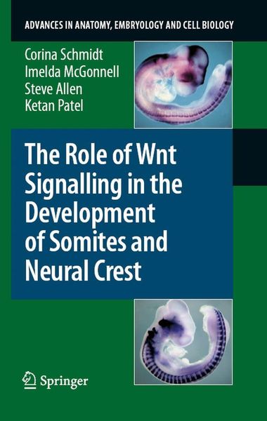 Produktbild: The Role of Wnt Signalling in the Development of Somites and Neural Crest