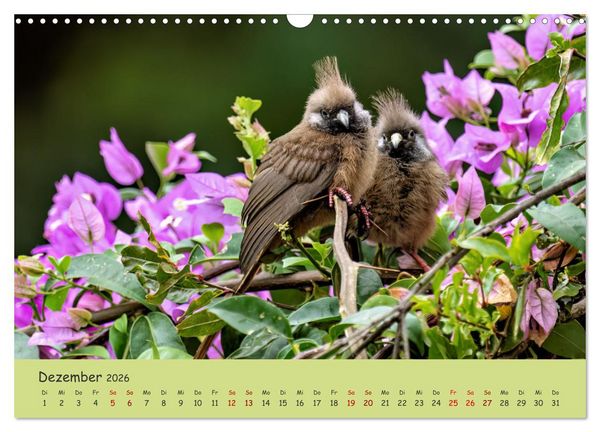 Produktbild: Gefiederte Sch&ouml;nheiten Ostafrikas (Wandkalender 2026 DIN A3 quer), CALVENDO Monatskalender