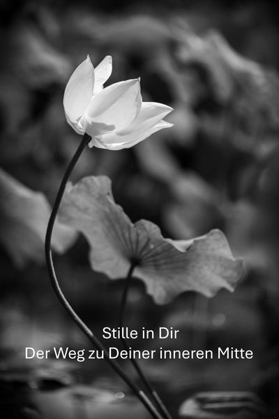 Produktbild: Stille in Dir