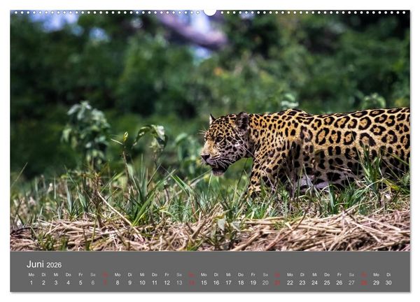 Produktbild: Brasilien 2026 abseits von Rio (hochwertiger Premium Wandkalender 2026 DIN A2 quer), Kunstdruck in Hochglanz