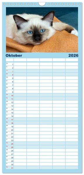 Produktbild: Familienplaner 2026 - Heilige Birma Katzen Kalender mit 5 Spalten (Wandkalender, 21 x 45 cm) CALVENDO
