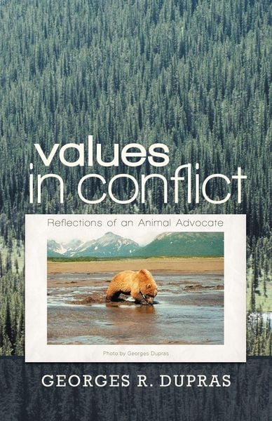 Produktbild: Values in Conflict