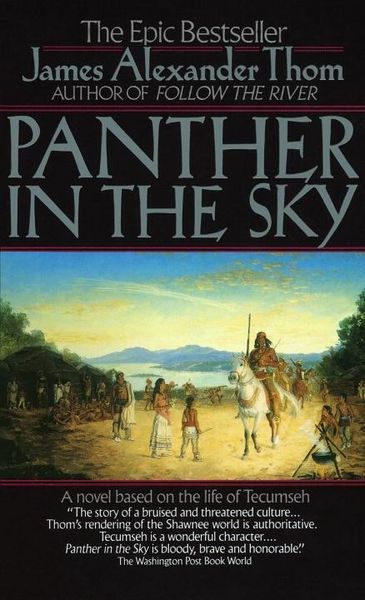 Produktbild: Panther in the Sky