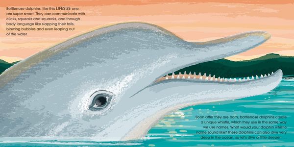 Produktbild: LIFESIZE OCEAN ANIMALS PB