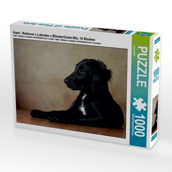 Produktbild: CALVENDO Puzzle Hazel - Retriever x Labrador x M&uuml;nsterl&auml;nder-Mix, 14 Wochen 1000 Teile Puzzle quer | 1000 Teile Lege-Gr&ouml;&szlig;e 64 &times; 48 cm Foto-Puzzle f&uuml;r gl&uuml;ckliche Stunden