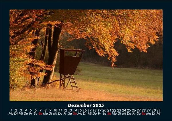 Produktbild: Waldzauber 2025 Fotokalender DIN A5