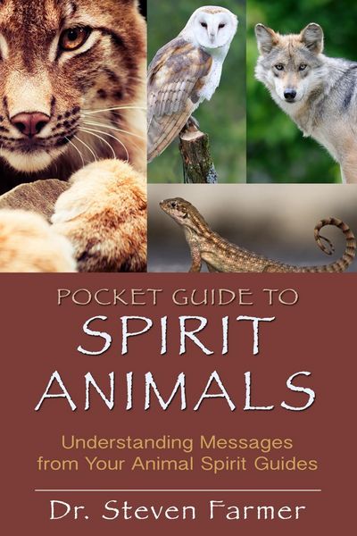 Produktbild: Pocket Guide to Spirit Animals