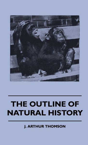 Produktbild: The Outline Of Natural History