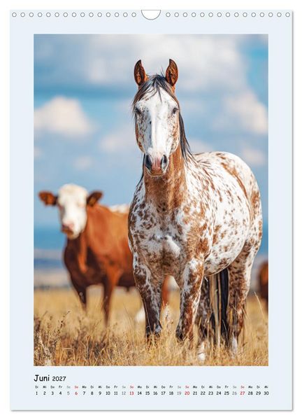 Produktbild: Der Appaloosa. Ein zuverl&auml;ssiges Westernpferd in bunter Optik (Wandkalender 2027 DIN A3 hoch), CALVENDO Monatskalender