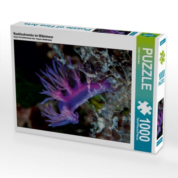 CALVENDO Puzzle Nacktschnecke im Mittelmeer | 1000 Teile Lege-Größe 64x48cm Foto-Puzzle für glückliche Stunden