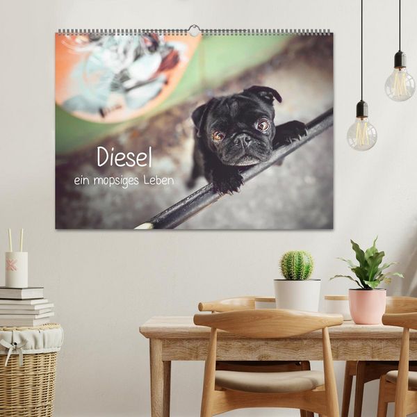 Produktbild: Diesel - ein mopsiges Leben (Wandkalender 2026 DIN A2 quer), CALVENDO Monatskalender