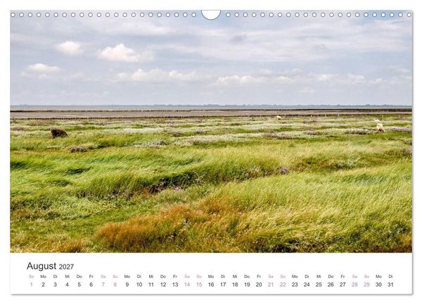 Produktbild: Hamburger Hallig - Der Weg ist das Ziel (Wandkalender 2027 DIN A3 quer), CALVENDO Monatskalender