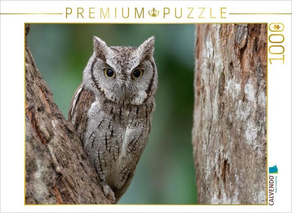 Produktbild: CALVENDO Puzzle Winzige Zwergohreule getarnt im Baumstamm | 1000 Teile Lege-Gr&ouml;&szlig;e 64x48cm Foto-Puzzle f&uuml;r gl&uuml;ckliche Stunden
