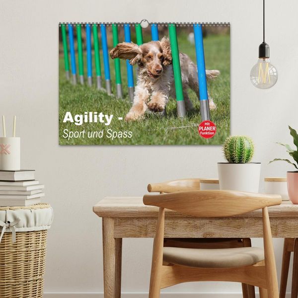 Produktbild: Agility - Sport und Spass (Wandkalender 2026 DIN A3 quer), CALVENDO Monatskalender