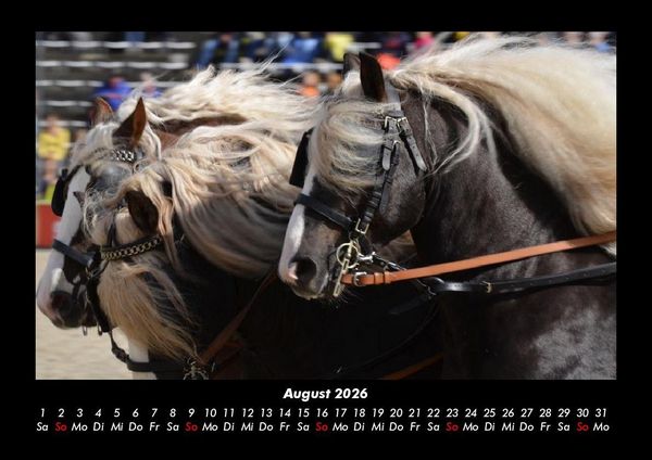 Produktbild: Die Welt der Pferde 2026 Fotokalender DIN A3