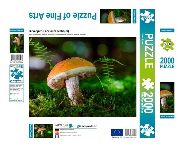 Produktbild: CALVENDO Puzzle Birkenpilz (Leccinum scabrum) 2000 Teile Lege-Gr&ouml;&szlig;e 900 x 670 cm Foto-Puzzle Bild von Peter Roder