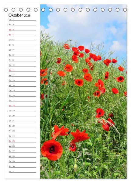 Produktbild: Mohn, zarte Bl&uuml;ten, starke Farben, der Geburtstagskalender (Tischkalender 2026 DIN A5 hoch), CALVENDO Monatskalender