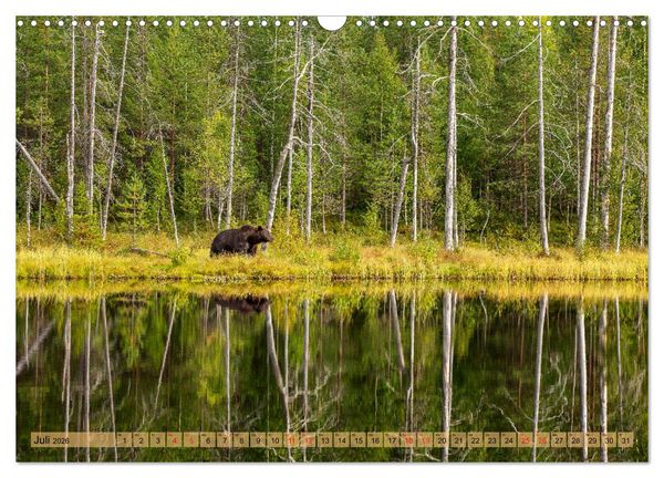 Produktbild: Wildes Finnland (Wandkalender 2026 DIN A3 quer), CALVENDO Monatskalender