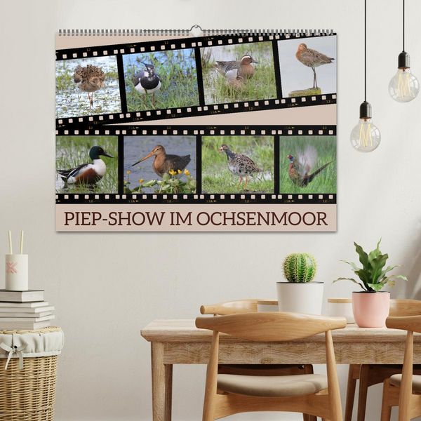 Produktbild: PIEP-SHOW im Ochsenmoor (Wandkalender 2026 DIN A2 quer), CALVENDO Monatskalender