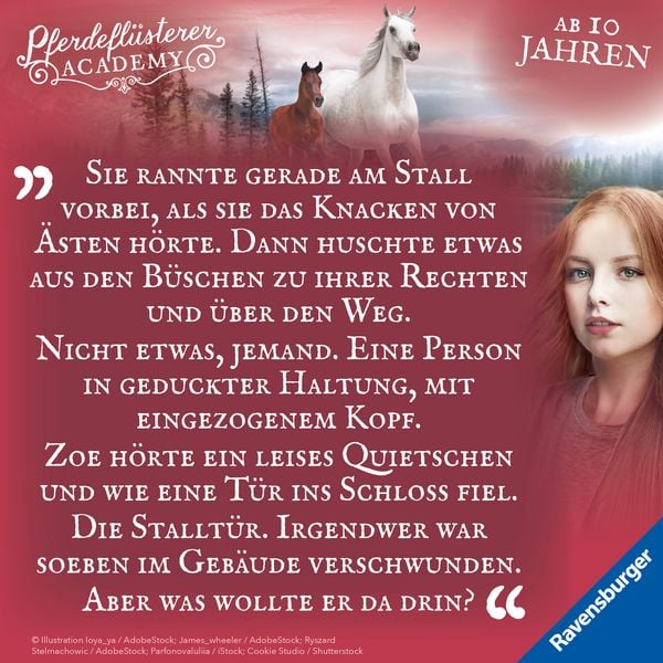 Produktbild: Pferdefl&uuml;sterer-Academy, Band 6: Calypsos Fohlen