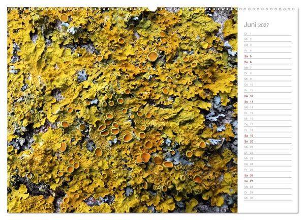 Produktbild: Abstrakte Umwelt (Wandkalender 2027 DIN A2 quer), CALVENDO Monatskalender
