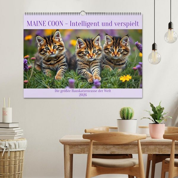 Produktbild: Maine Coon - Intelligent und verspielt (Wandkalender 2026 DIN A2 quer), CALVENDO Monatskalender
