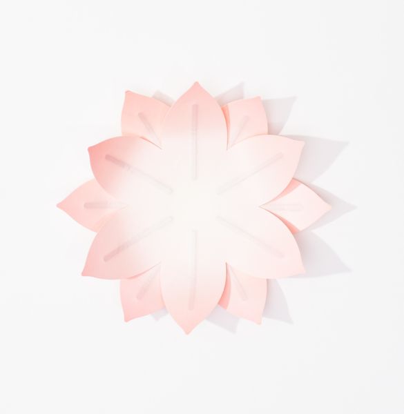 Produktbild: Hanji-Papierschale Wasserlilie Rosa &ndash; Flexible Ablage
