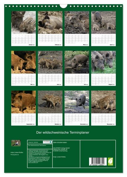Produktbild: Der wildschweinische Terminplaner (Wandkalender 2027 DIN A3 hoch), CALVENDO Monatskalender