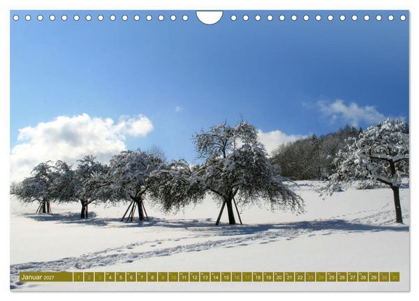 Produktbild: Apfelbaum und Streuobstwiesen (Wandkalender 2027 DIN A4 quer), CALVENDO Monatskalender