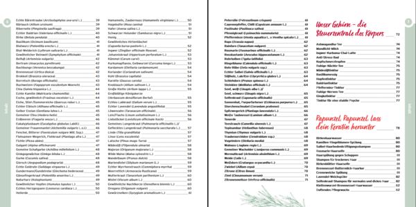 Produktbild: Gew&uuml;rze und Kr&auml;uter in der Naturkosmetik