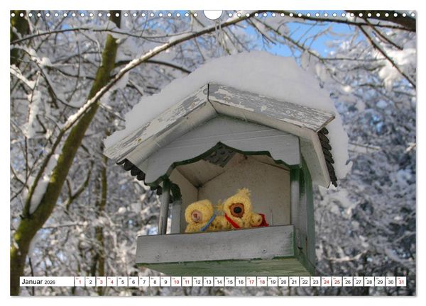 Produktbild: Die kleine Welt der Teddyb&auml;rchen (Wandkalender 2026 DIN A3 quer), CALVENDO Monatskalender