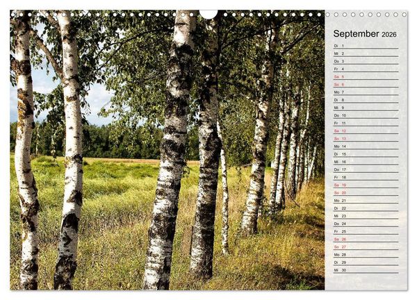 Produktbild: Litauen - Streifz&uuml;ge durch die junge Ostseerepublik (Wandkalender 2026 DIN A3 quer), CALVENDO Monatskalender