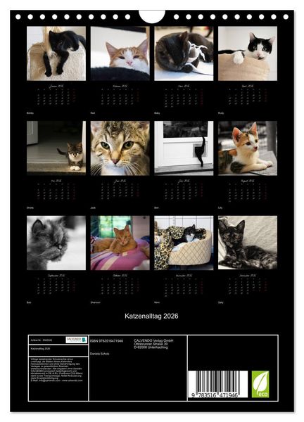 Produktbild: Katzenalltag 2026 (Wandkalender 2026 DIN A4 hoch), CALVENDO Monatskalender